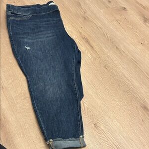 Lane Bryant Dark Wash Cropped Jeans